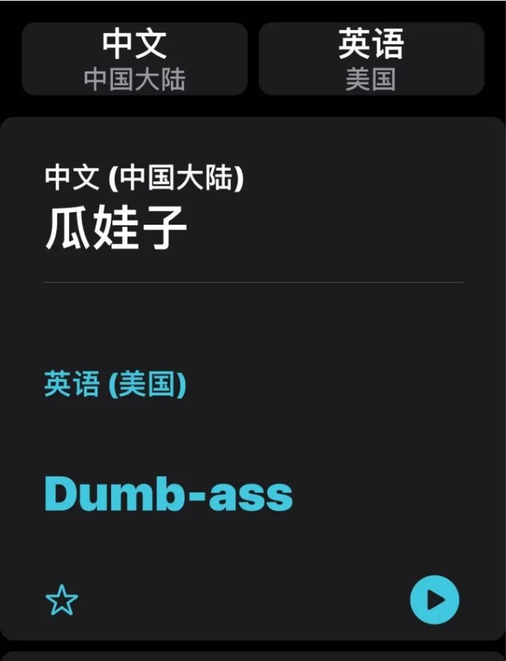 阿拉尔苹果手机维修分享iOS14的“翻译太懂了”怎么用 